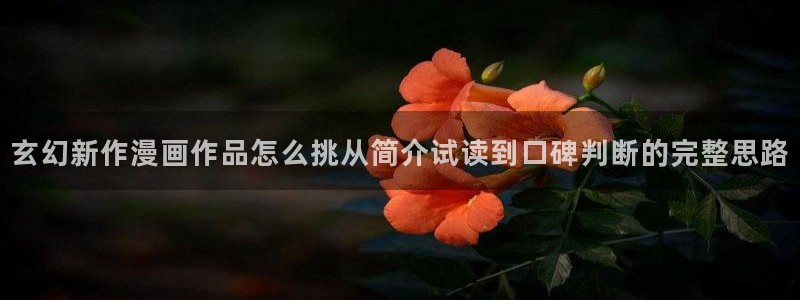 漫画岛最新入口：玄幻新作漫画作品怎么挑从简介试读到口碑判断的完整思路