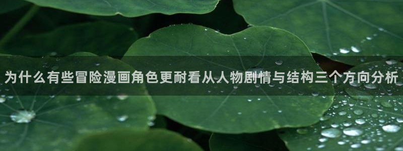 漫画岛漫画排行：为什么有些冒险漫画角色更耐看从人物剧情与结构三个方向分析