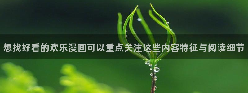 漫画岛网站地址:想找好看的欢乐漫画可以重点关注这些内容特征与阅读细节