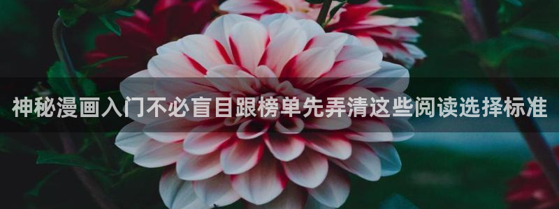 漫画岛入口大全:神秘漫画入门不必盲目跟榜单先弄清这些阅读选择标准