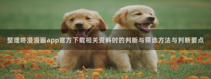 漫画岛漫画推荐大全：整理咚漫漫画app官方下载相关资料时的判断与筛选方法与判断要点